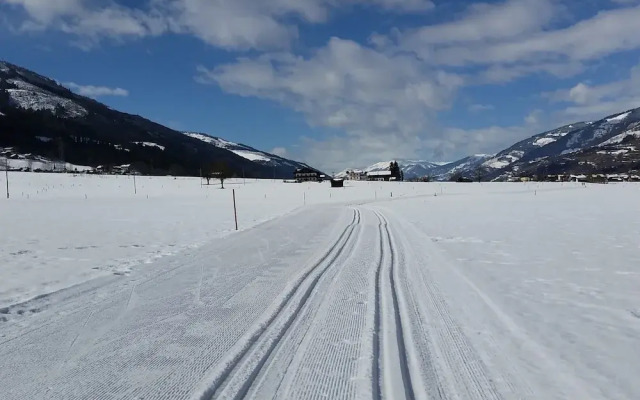 Chalet Anna Near Ski Area in Niedernsill