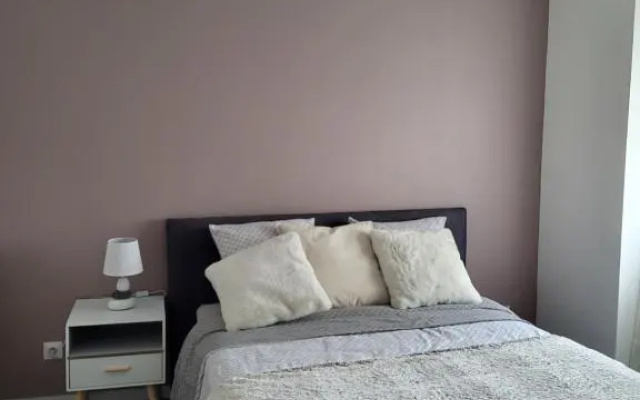 Le bel'air appartement chaleureux et calme oyonnax