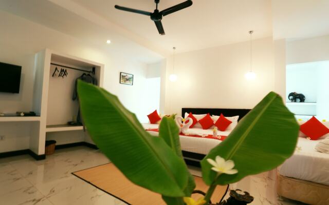 Tropic Jungle Boutique Hotel