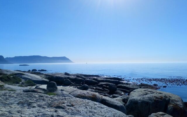Edwardian Town House