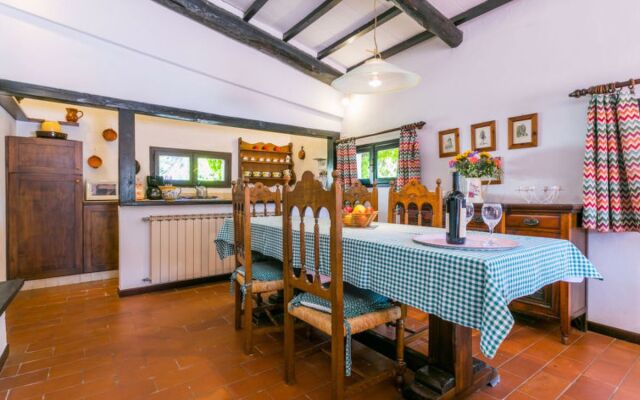 Bardeggiano - Caterina 4 (COL247)