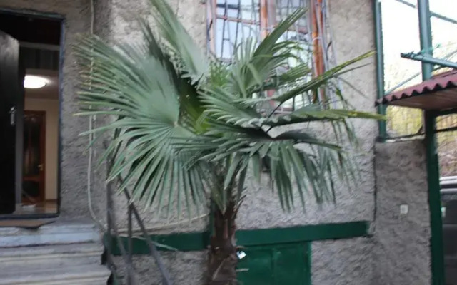 Aisi Hall