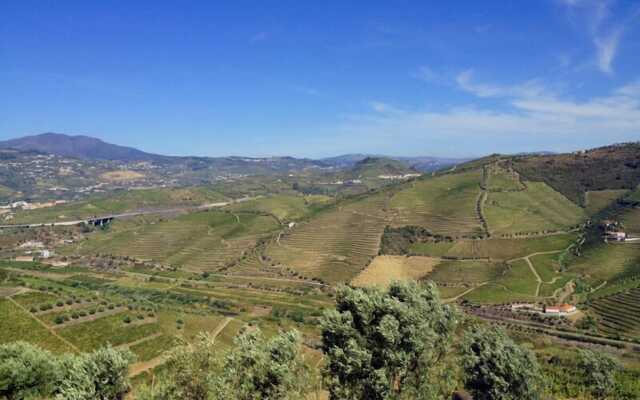 Quinta de Casaldronho Wine Hotel