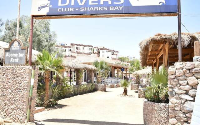 sunshine diving center