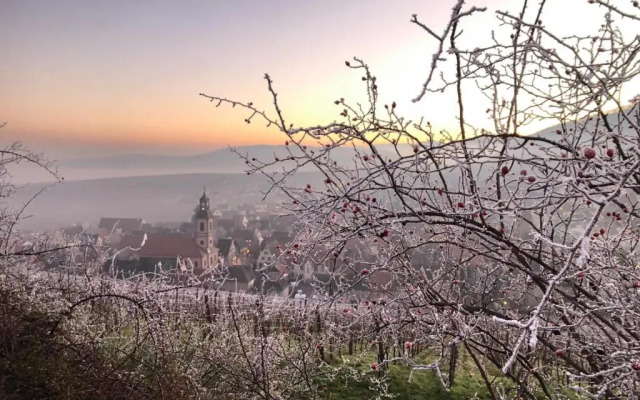 Les Gîtes Coeur de Vigne