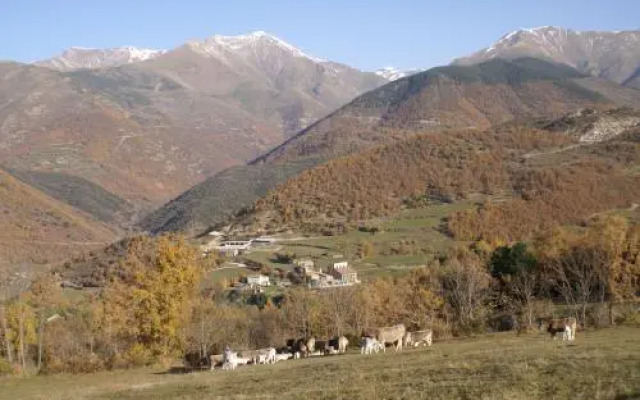 Apartamentos Casa Masover