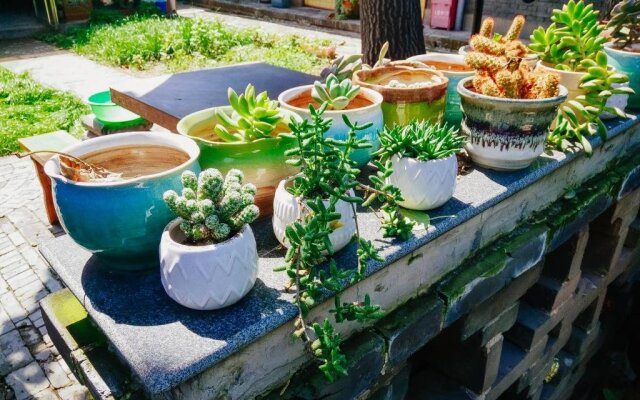 Pingyao Langji International Youth Hostel