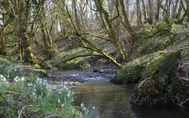 Troedyrhiw Bed & Breakfast