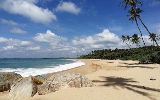 Turtle Paradise