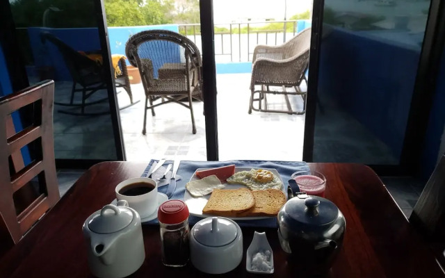 Hostal Flightless Cormorant