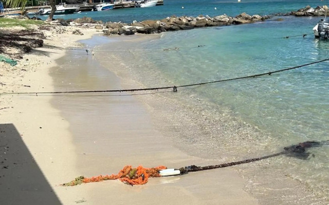 L Ixora Vous Acceuille