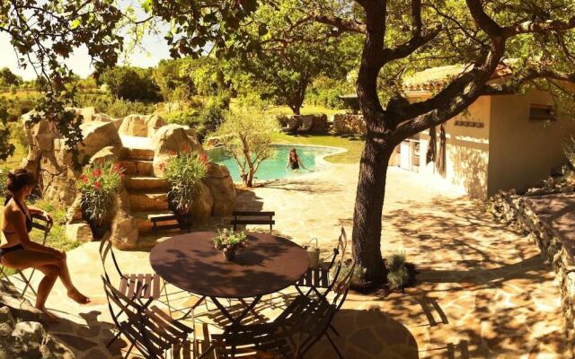 Wild Boar Mountain - France