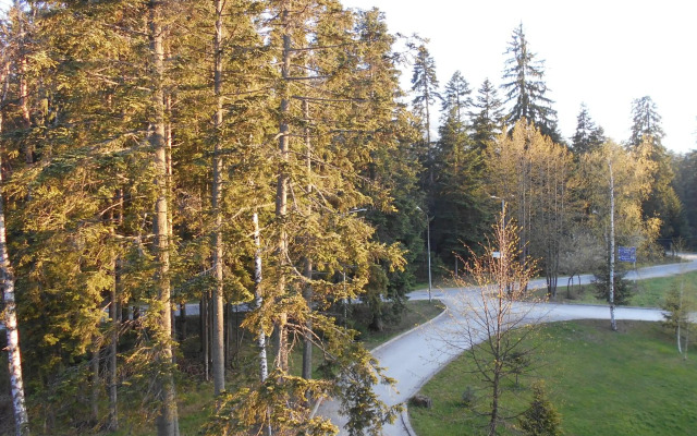 Студио D-41 в Апарт-хотел Боровец Гардънс