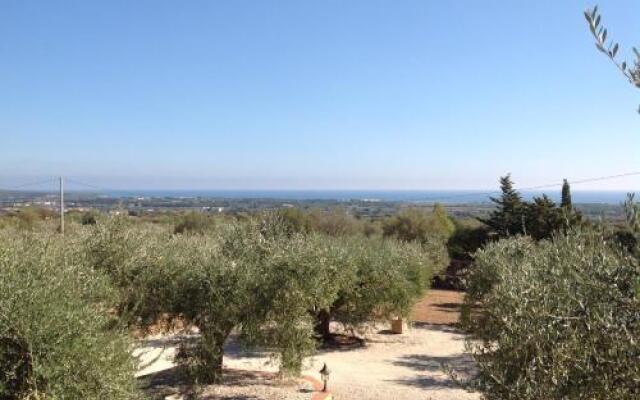 Rustico degli Ulivi