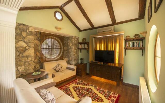 Olive Tree Studio
