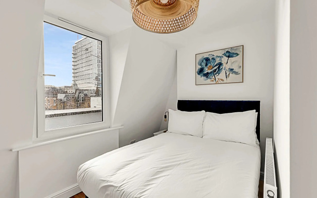 Contemporary Oasis in Paddington III