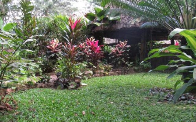 Macaw Bank Jungle Lodge