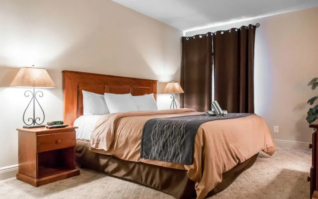 Comfort Inn And Suites
