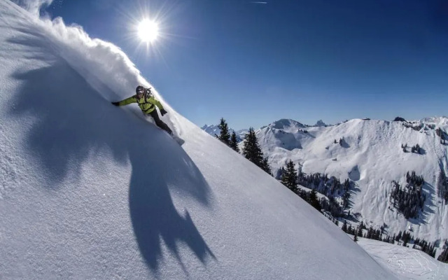 Contemporary Swiss Escape