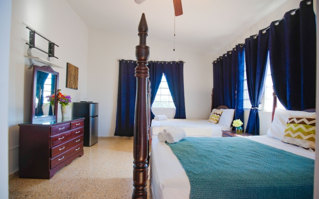 Wild Flowers Boquerón Rooms