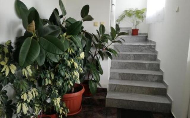 Tzonevi Guest House