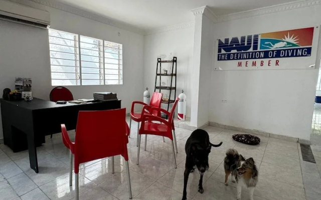Calipso Dive And Pet Center - Hostel in Santa Marta - Photo 2