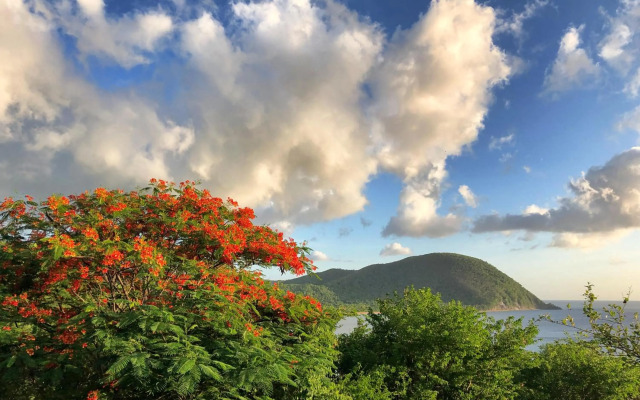 Appartement Tillet. O Coeur de Deshaies.