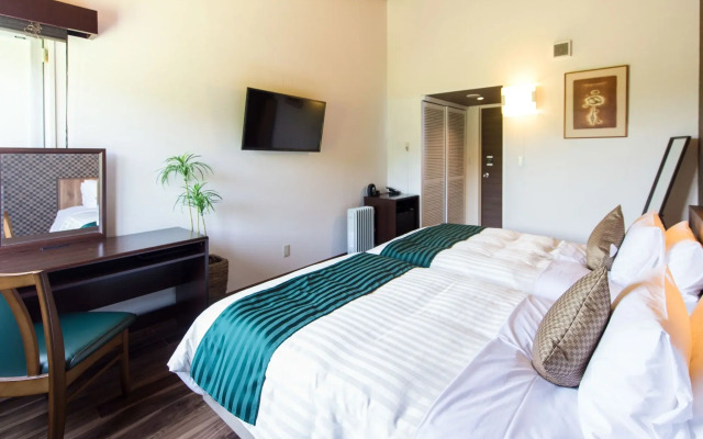Livemax Resort Itokawana