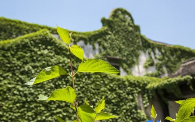 Wuzhen Club House