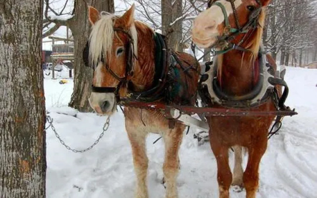 Swiss Inn & Restaurant