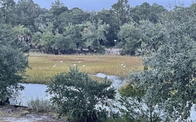 Blue Heron Retreat