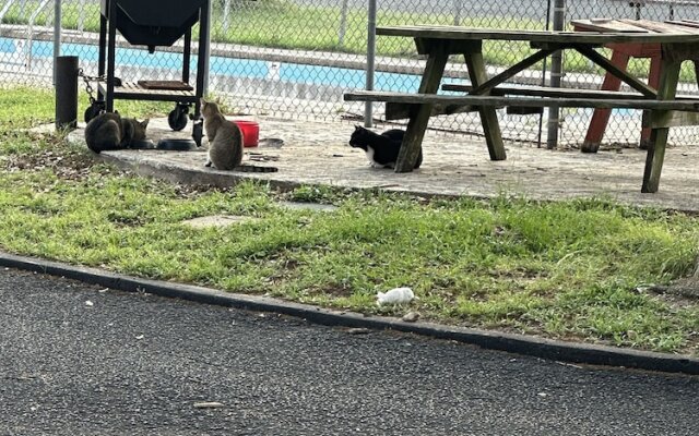 Wildflower Inn & RV Park