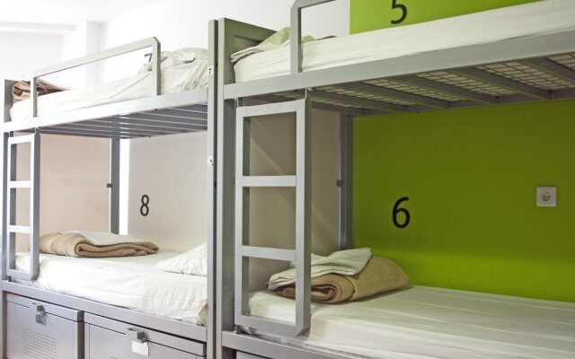 The White Tulip Hostel