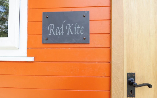 Red Kite at Wild Valley Huts