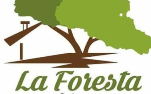 Cabaña La Foresta