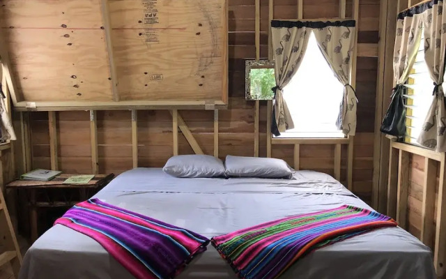 T.R.E.E.S Research Center and Eco Lodge
