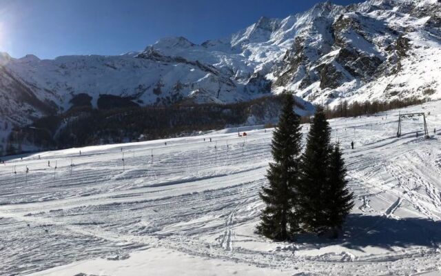 Apartment Azurit Saas-Fee 14529