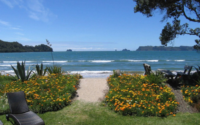 Beachfront Resort