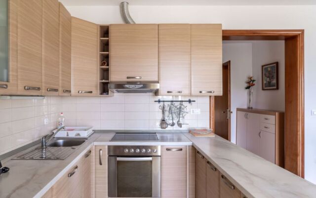 Apartment Kate Wichtrach 31569