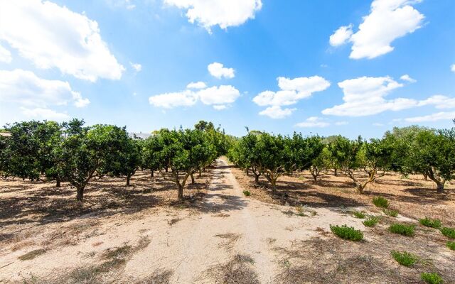 Tenuta Don Salvatore
