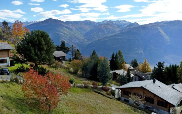 Ard ve No 11 Leytron