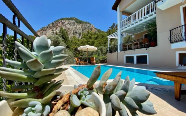 Amazing Villa w Private Pool BBQ in Gocek