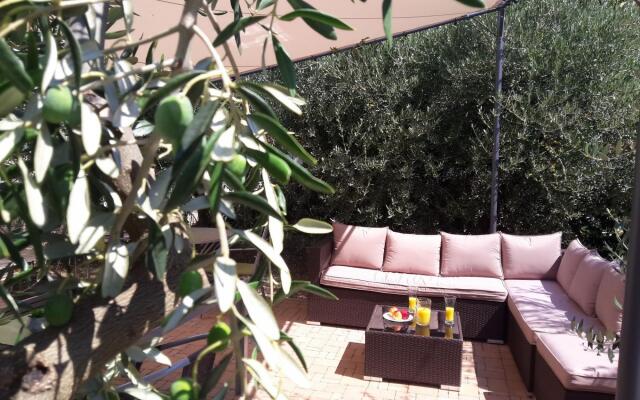 Olive - Swimming Pool - SA5