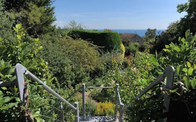 Little West Hill Studio