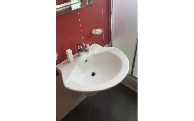 Hotel Paun