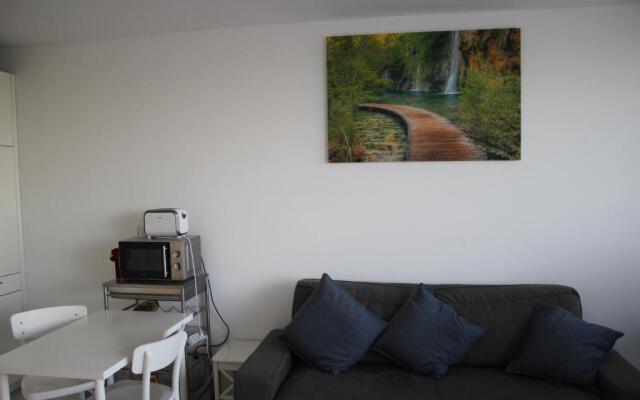 Augartenblick Penthaus 17 - Blick zum Riesenrad