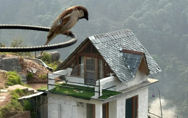 Mountain & River view by Snow Biscuit