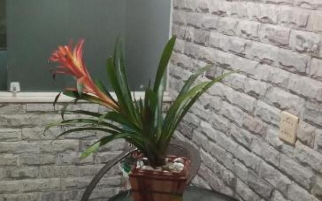 CASA ASA DELTA NOVA FRIBURGO COM LAREIRA e JACUZZI