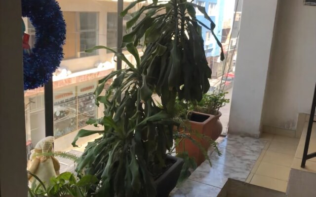 Hotel Andrea