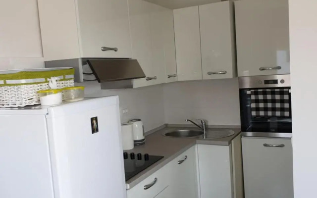 Apartment Roko
